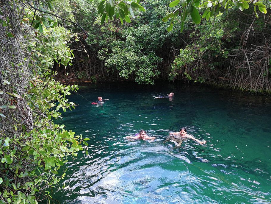 cenotes Quintana Roo