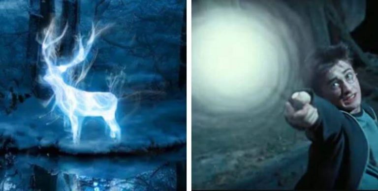 Hechizos de Harry Potter ¿Los conoces todos? - Ciudad Trendy