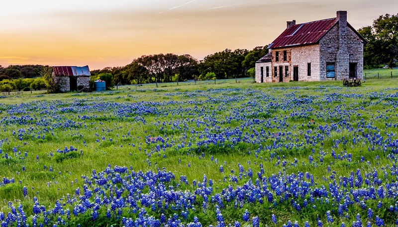 TOP 6 de las mejores cabañas en Texas