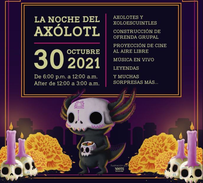 la-noche-del-axolotl-en-axolotitlan-museo-del-ajolote-cdmx