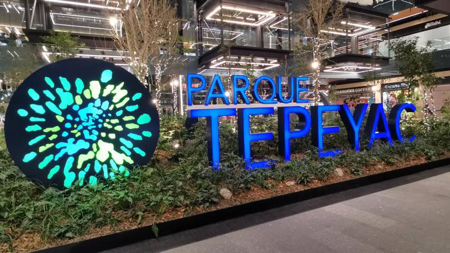 ACUARIO PARQUE TEPEYAC : Un mundo acuático en la CDMX | Ciudad Trendy